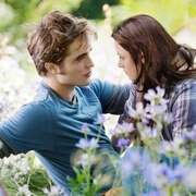 暮光之城3:月食 The Twilight Saga: Eclipse