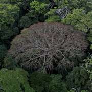 从前有座森林 Il était une Forêt