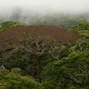 从前有座森林 Il était une Forêt