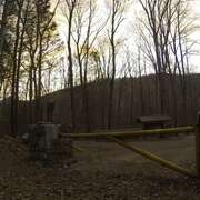 巴克利超级马拉松:测试年轻人极限的赛事 The Barkley Marathons: The Race That Eats Its Young