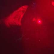鲨海 47 Meters Down