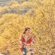 小森林 리틀 포레스트