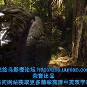 巨蟒大战恐鳄 Mega Python vs. Gatoroid