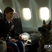 战犬瑞克斯 Megan Leavey