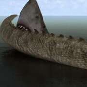 巨鲨大战食人鳄 Mega Shark vs Crocosaurus