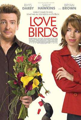 爱情鸟 Love Birds