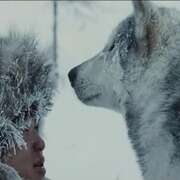 狼 Loup