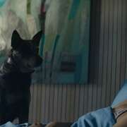 群狗 Los Perros