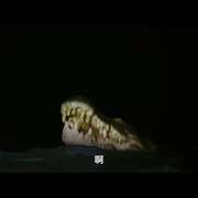 绝命鳄口 Black Water: Abyss