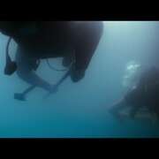 深海狂鲨3 Deep Blue Sea 3