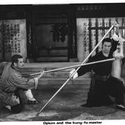 洪拳大师 洪拳大師