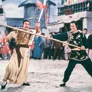 洪拳大师 洪拳大師