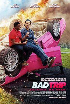 恶搞之路 Bad Trip