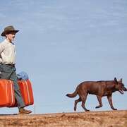 红犬历险记2:蓝犬 Red Dog: True Blue