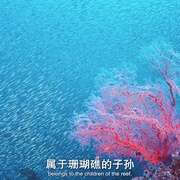 南太平洋之旅 Journey to the South Pacific