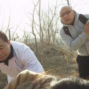 王小山夜谭之2359