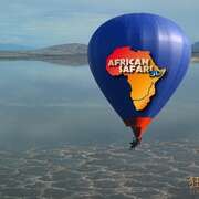 狂野非洲 African Safari