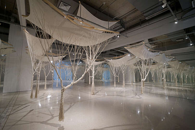 WAVELENGTH当代艺术体验展开幕:体验“瞬息”之间的美感