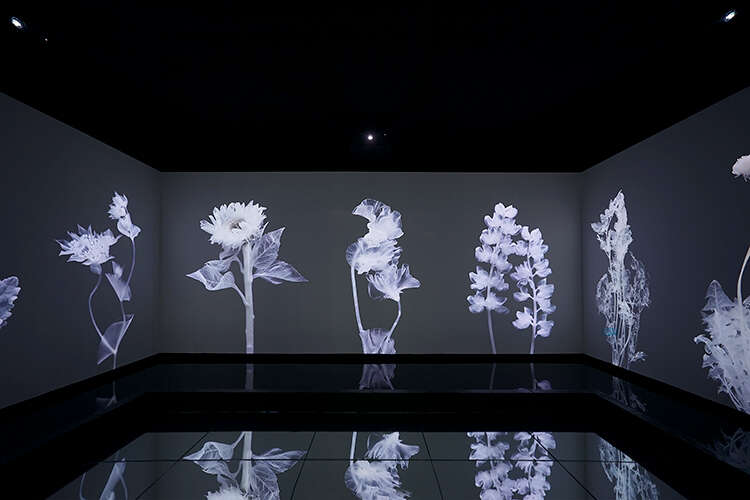 WAVELENGTH当代艺术体验展开幕:体验“瞬息”之间的美感
