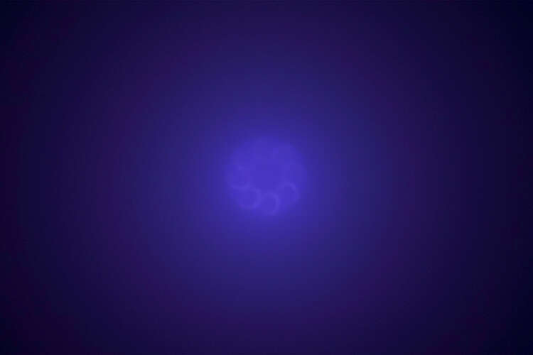 WAVELENGTH当代艺术体验展开幕:体验“瞬息”之间的美感