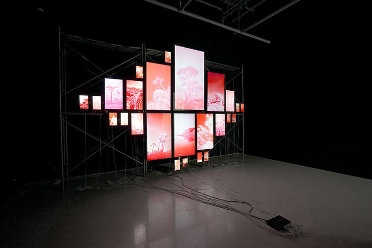 WAVELENGTH当代艺术体验展开幕:体验“瞬息”之间的美感