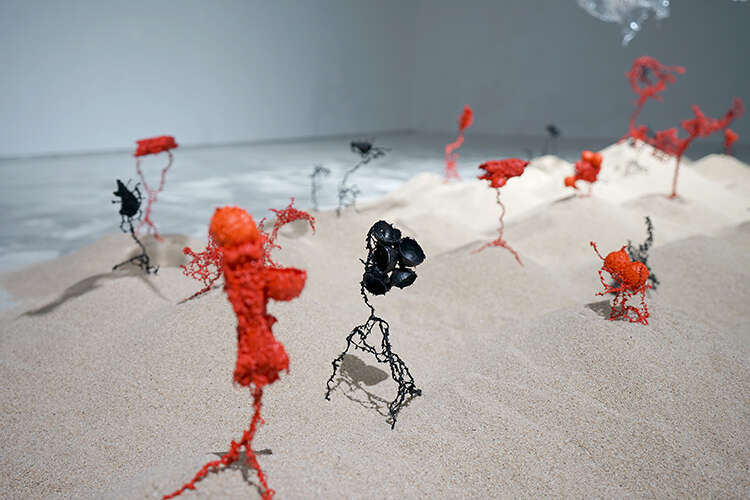 WAVELENGTH当代艺术体验展开幕:体验“瞬息”之间的美感