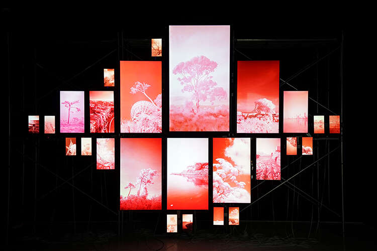 WAVELENGTH当代艺术体验展开幕:体验“瞬息”之间的美感