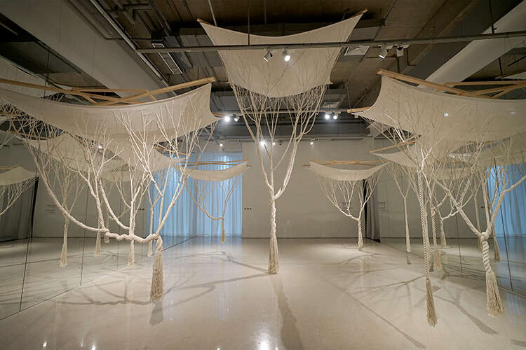 WAVELENGTH当代艺术体验展开幕:体验“瞬息”之间的美感