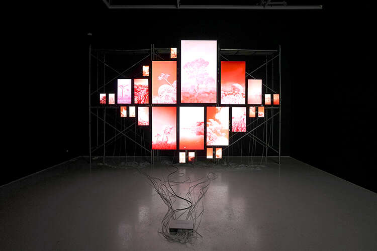 WAVELENGTH当代艺术体验展开幕:体验“瞬息”之间的美感