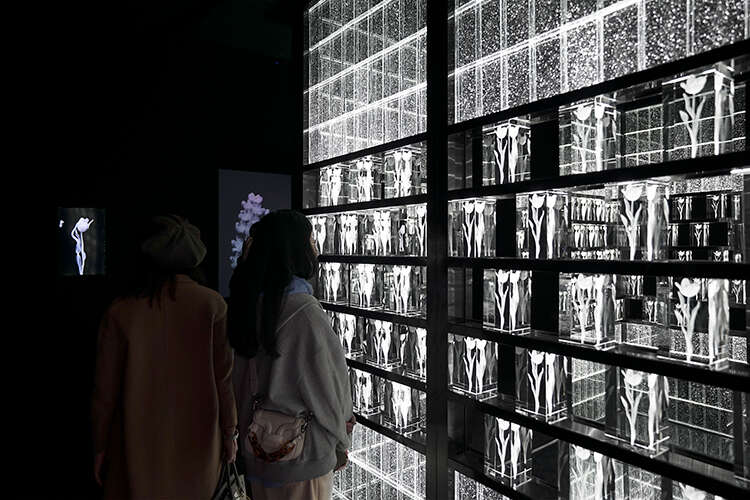 WAVELENGTH当代艺术体验展开幕:体验“瞬息”之间的美感