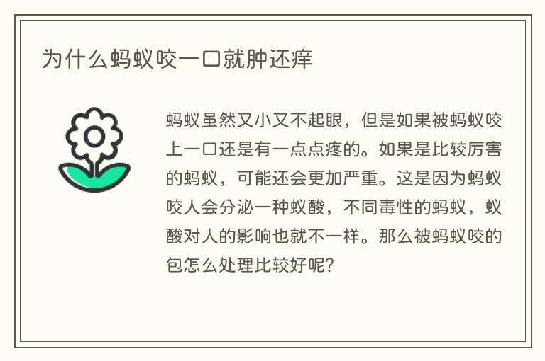为什么蚂蚁咬一口就肿还痒