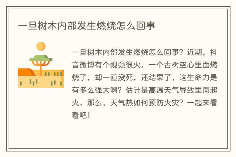 一旦树木内部发生燃烧怎么回事