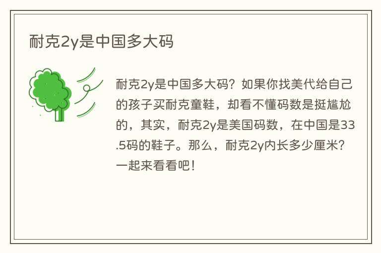 耐克2y是中国多大码