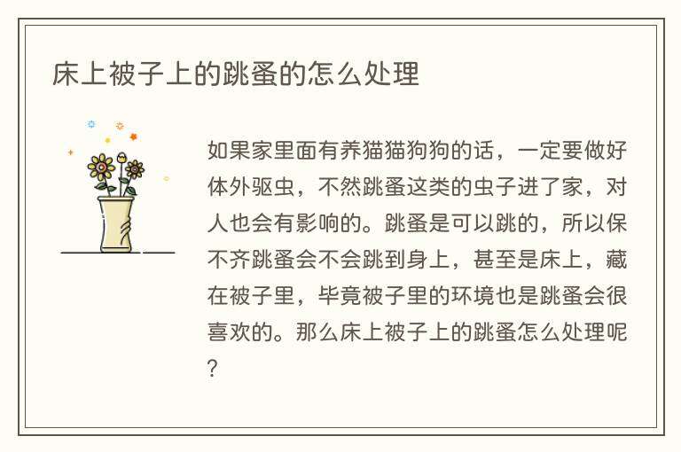 床上被子上的跳蚤的怎么处理