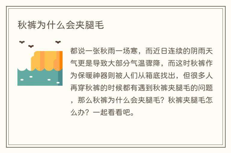 秋裤为什么会夹腿毛