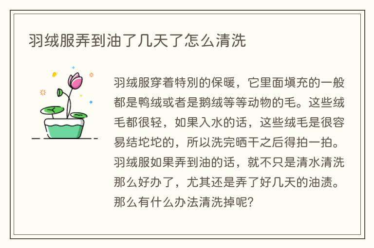 羽绒服弄到油了几天了怎么清洗