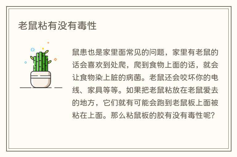 老鼠粘有没有毒性