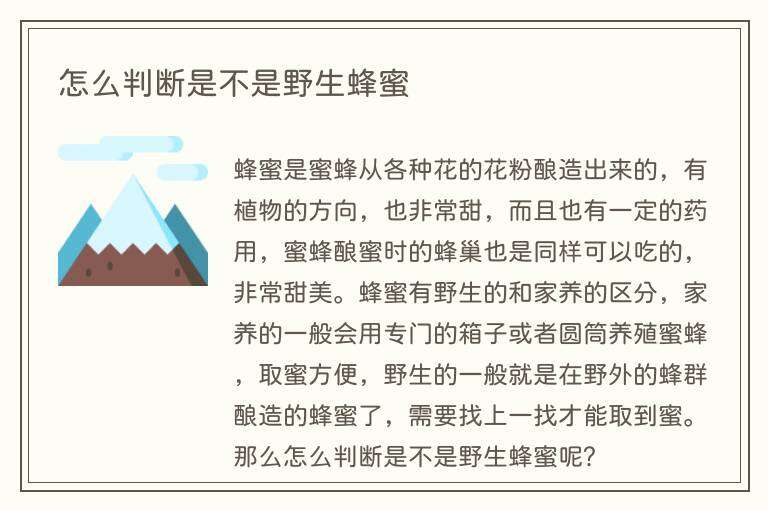 怎么判断是不是野生蜂蜜