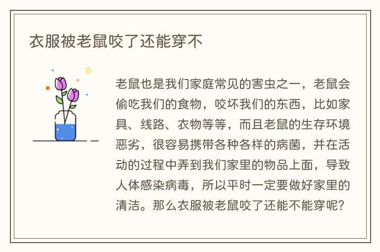 衣服被老鼠咬了还能穿不