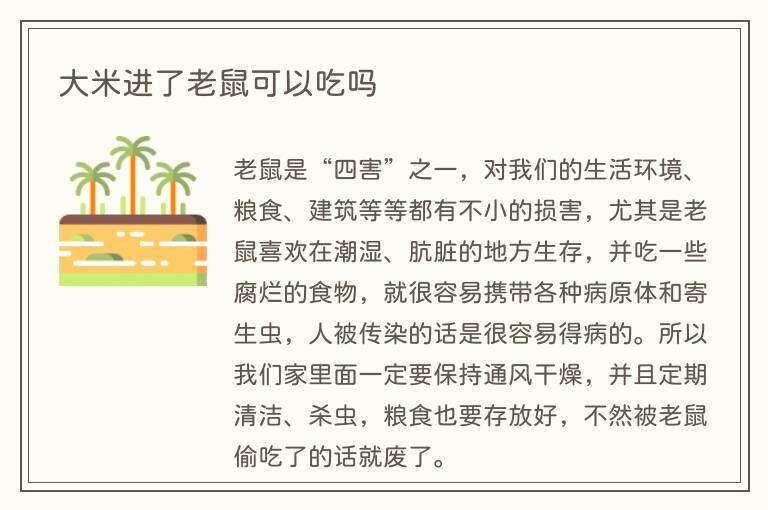 大米进了老鼠可以吃吗