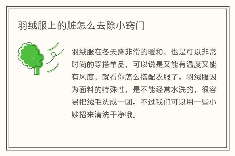 羽绒服上的脏怎么去除小窍门