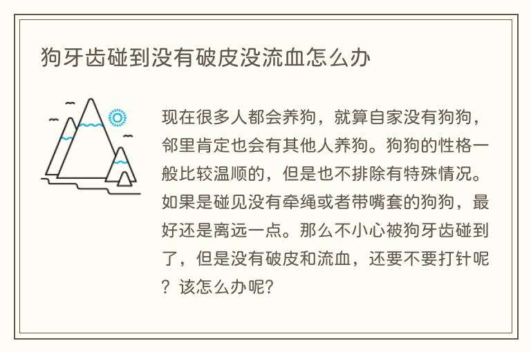 狗牙齿碰到没有破皮没流血怎么办