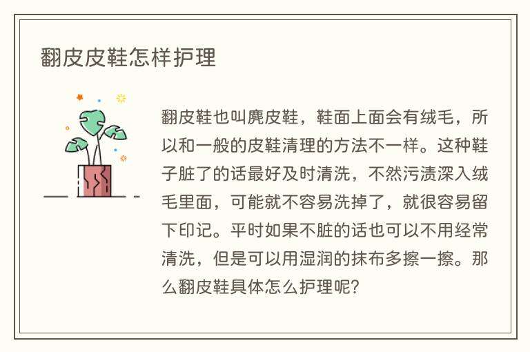 翻皮皮鞋怎样护理