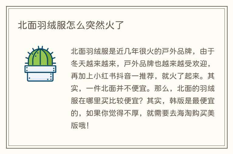 北面羽绒服怎么突然火了