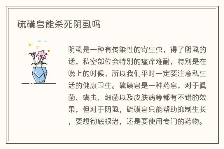 硫磺皂能杀死阴虱吗