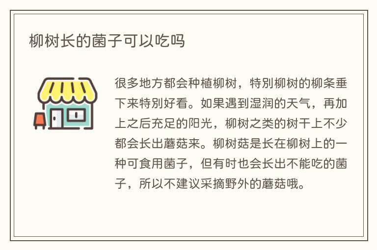 柳树长的菌子可以吃吗