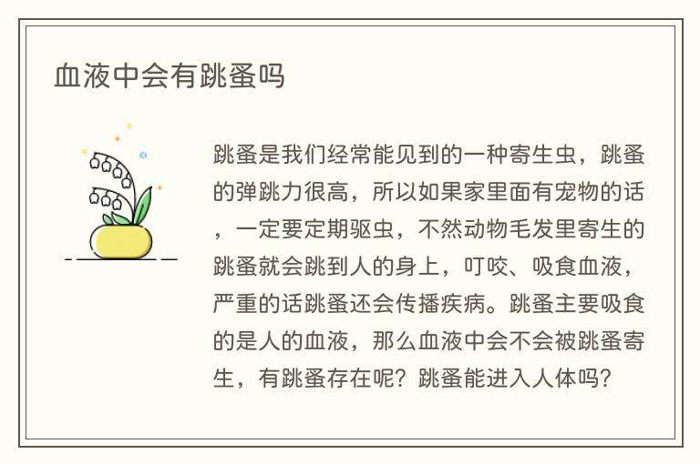 血液中会有跳蚤吗