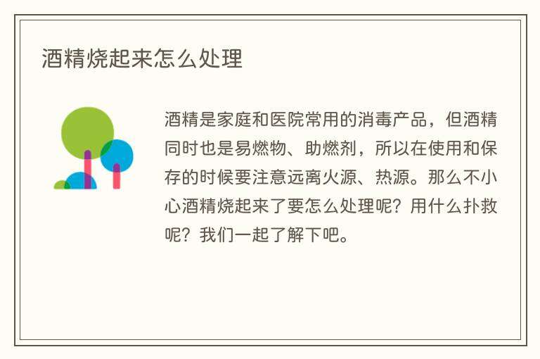 酒精烧起来怎么处理