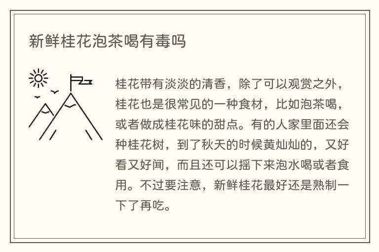 新鲜桂花泡茶喝有毒吗