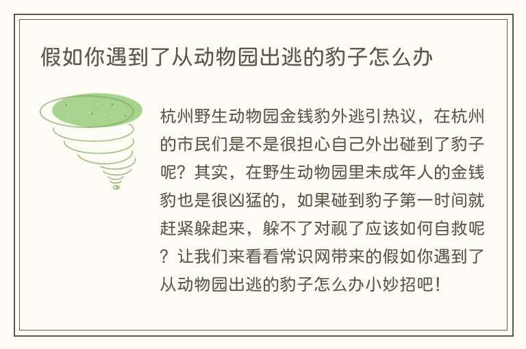 假如你遇到了从动物园出逃的豹子怎么办